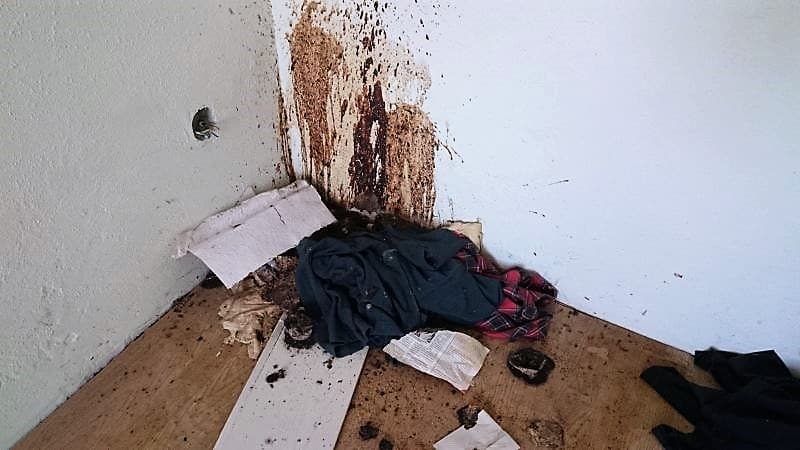 Messie Entrümpelungsfirma